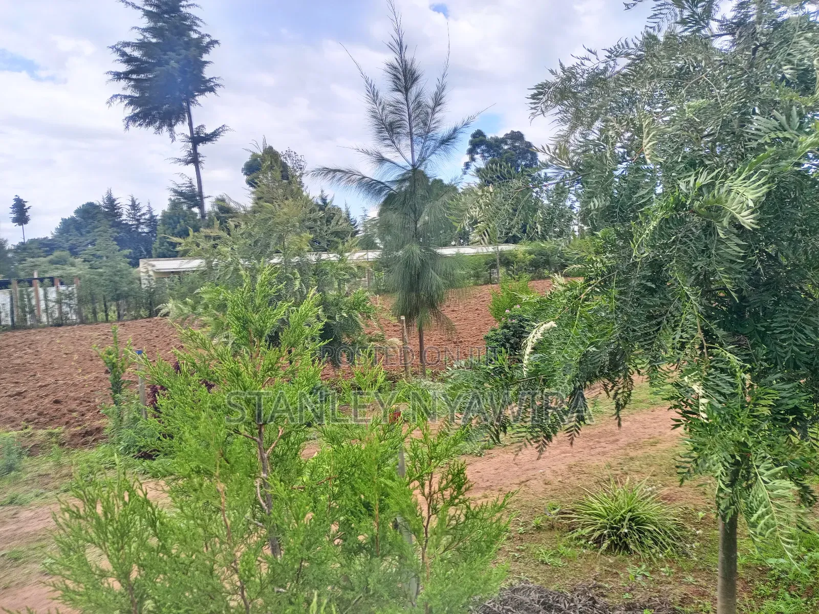 2.5 Acrea Located Ngando Kangaita Nanyuki