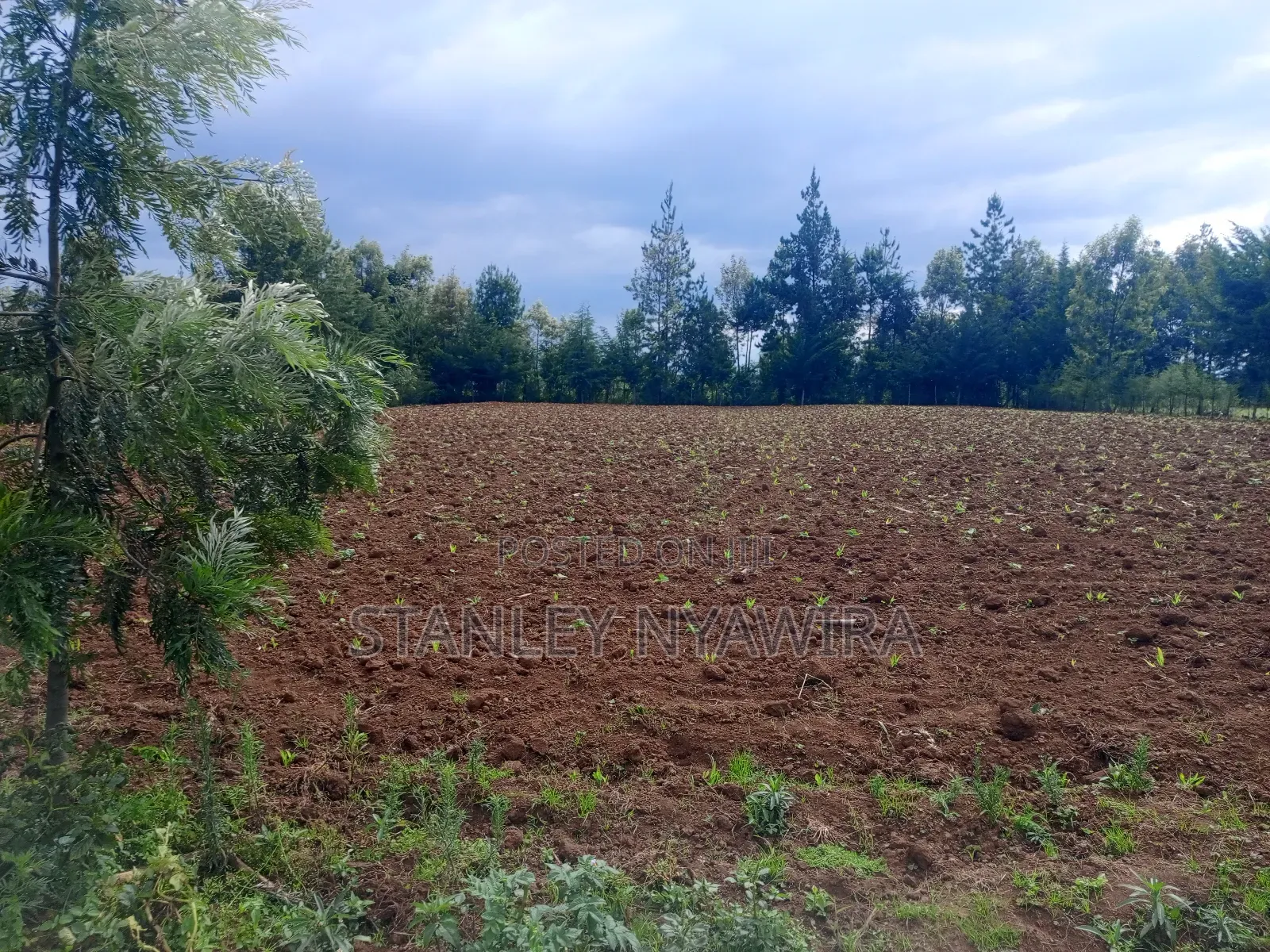 2.5 Acrea Located Ngando Kangaita Nanyuki