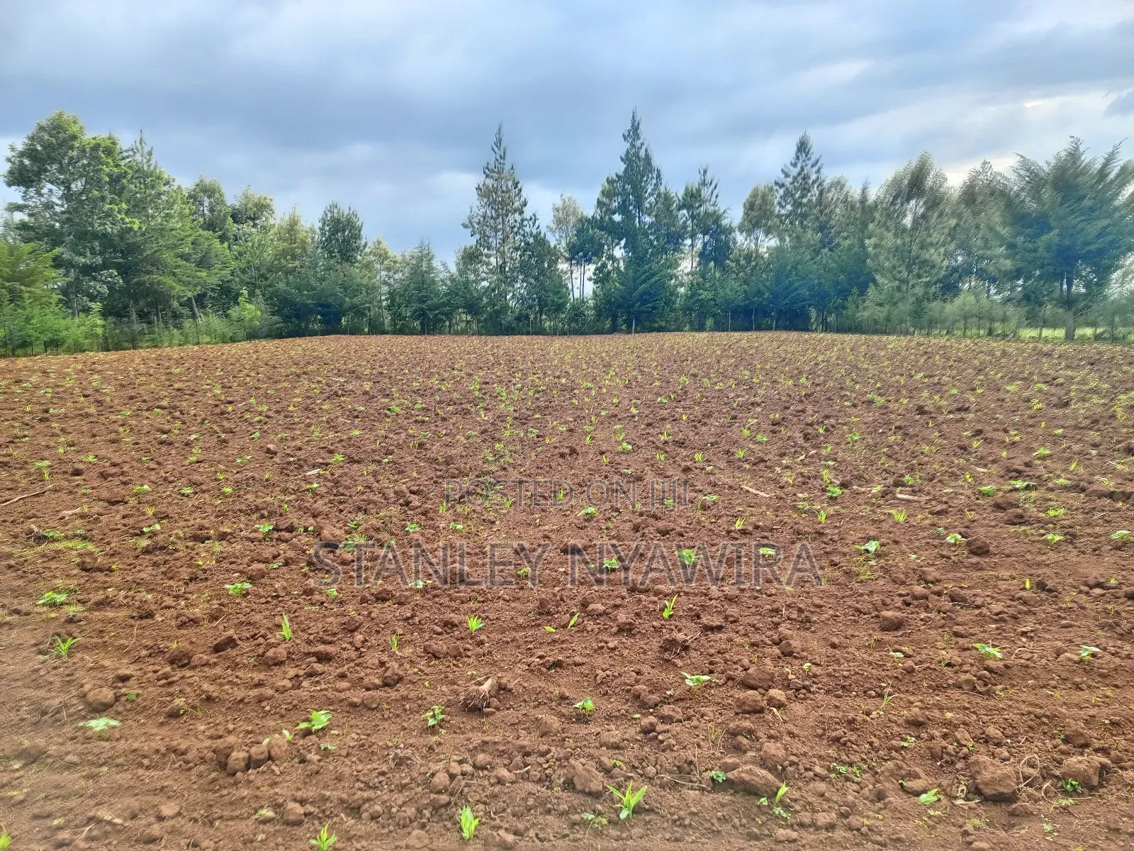 2.5 Acrea Located Ngando Kangaita Nanyuki