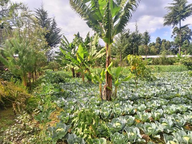 2.5 Acrea Located Ngando Kangaita Nanyuki - thumbnail 12