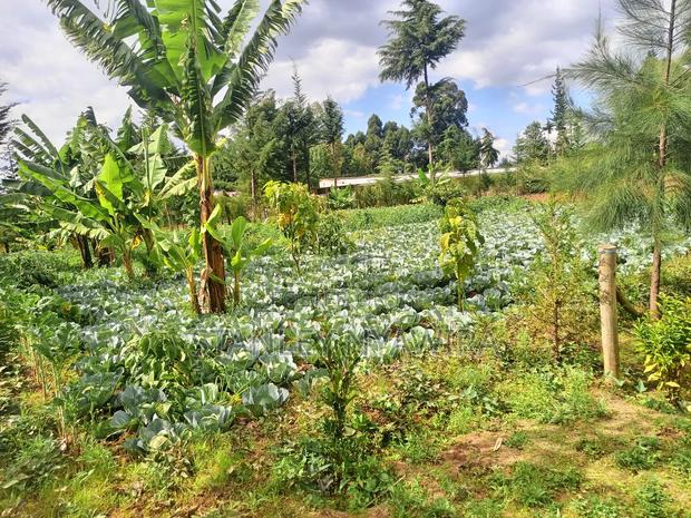 2.5 Acrea Located Ngando Kangaita Nanyuki - thumbnail 13