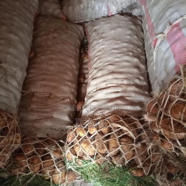 . Fresh Irish Potatoes for Sale – Bulk Supply Available
