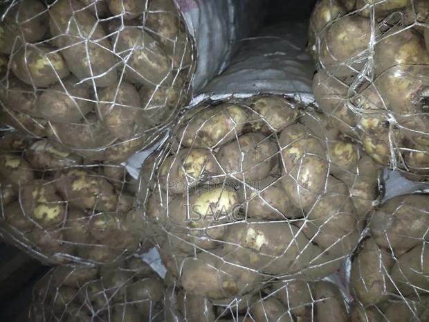 . Fresh Irish Potatoes for Sale – Bulk Supply Available - thumbnail 2