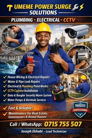 Electrical and Plumbing Service