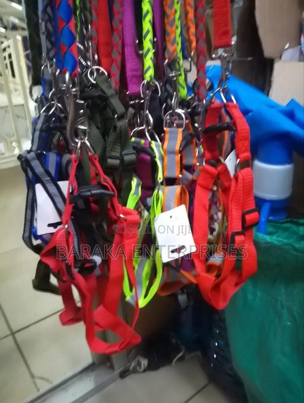 Dog Leash Available - main view