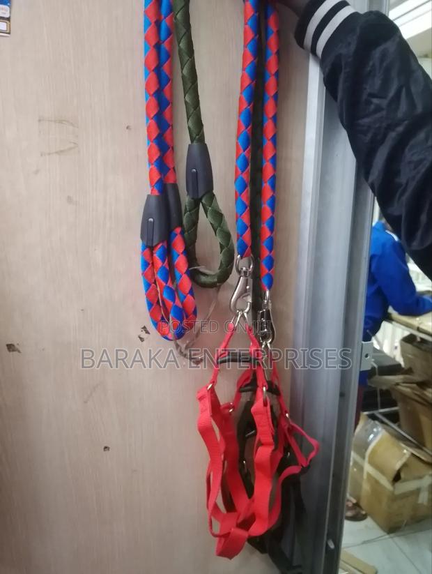 Dog Leash Available - thumbnail 2