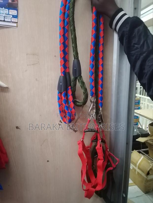 Dog Leash Available - thumbnail 3