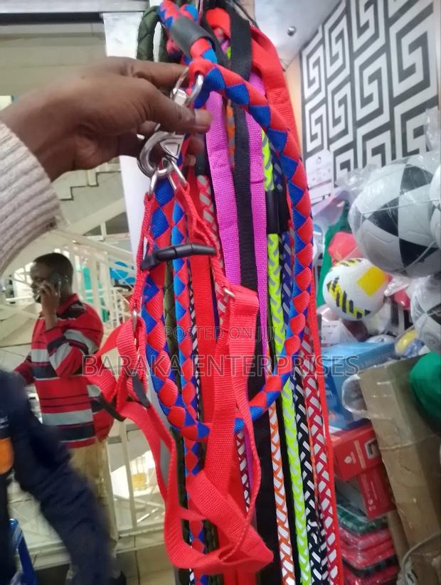 Dog Leash Available - thumbnail 4