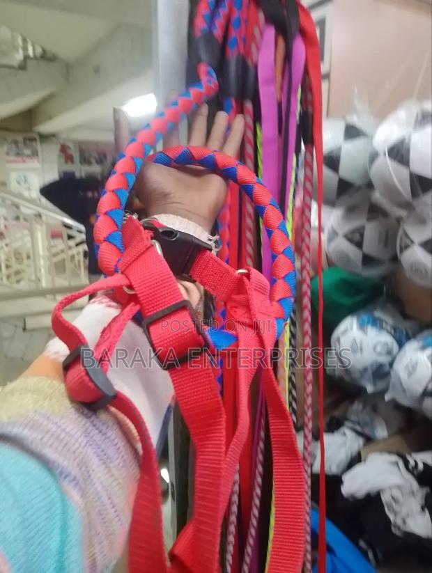 Dog Leash Available - thumbnail 5