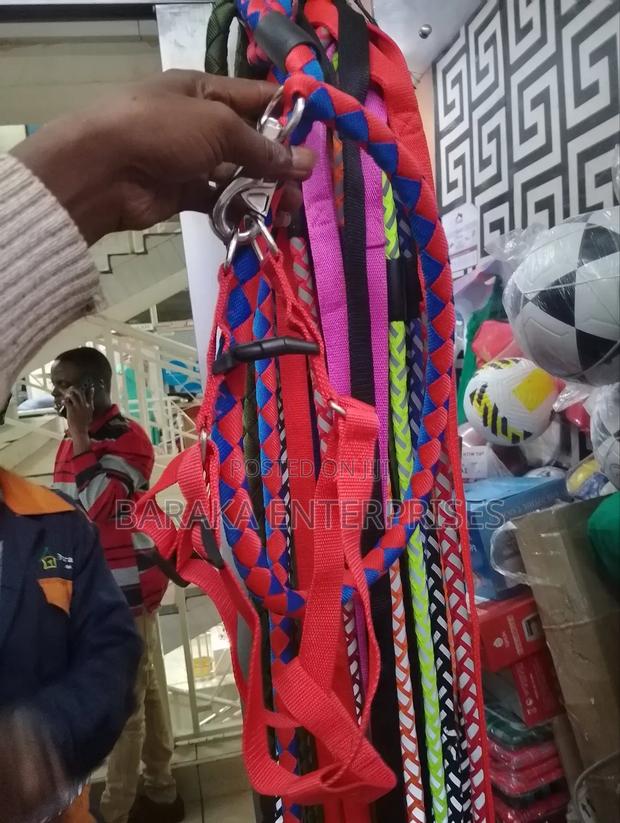 Dog Leash Available - thumbnail 6