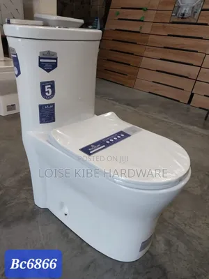 Bc6866 Toilet Available
