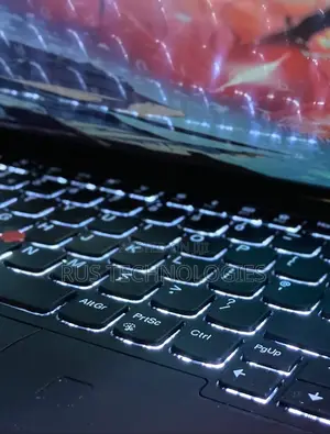 Laptop Lenovo ThinkPad t495s 8GB AMD Ryzen 5 SSD 256GB