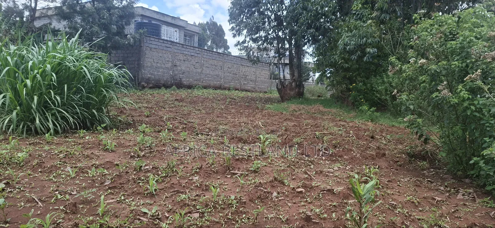 85x100 Residential Plot Available for Sale Gikambura