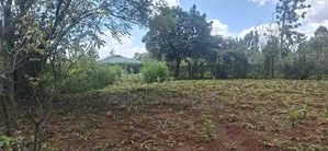 85x100 Residential Plot Available for Sale Gikambura