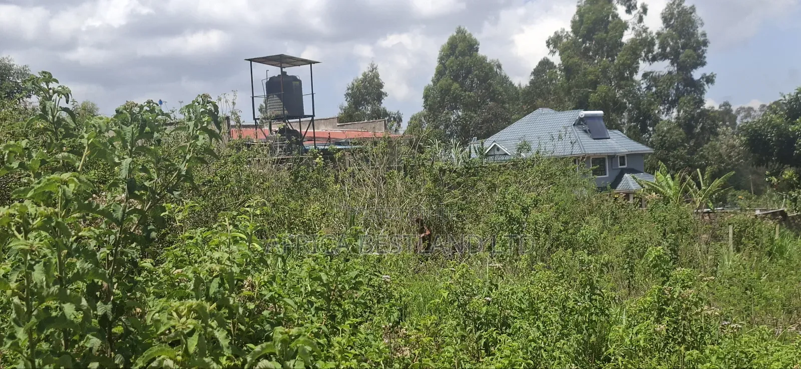 85x100 Residential Plot Available for Sale Gikambura