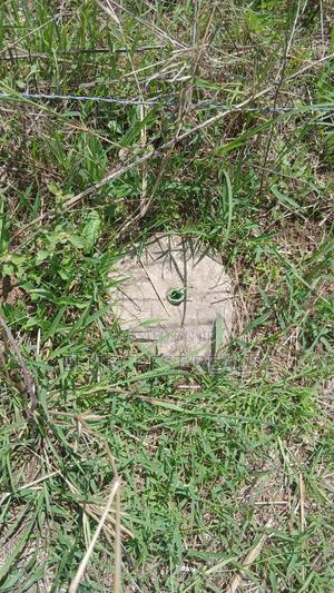 50x100 Plot for Sale in Mutaita Nakuru County - thumbnail 2