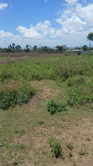 50x100 Plot for Sale in Mutaita Nakuru County