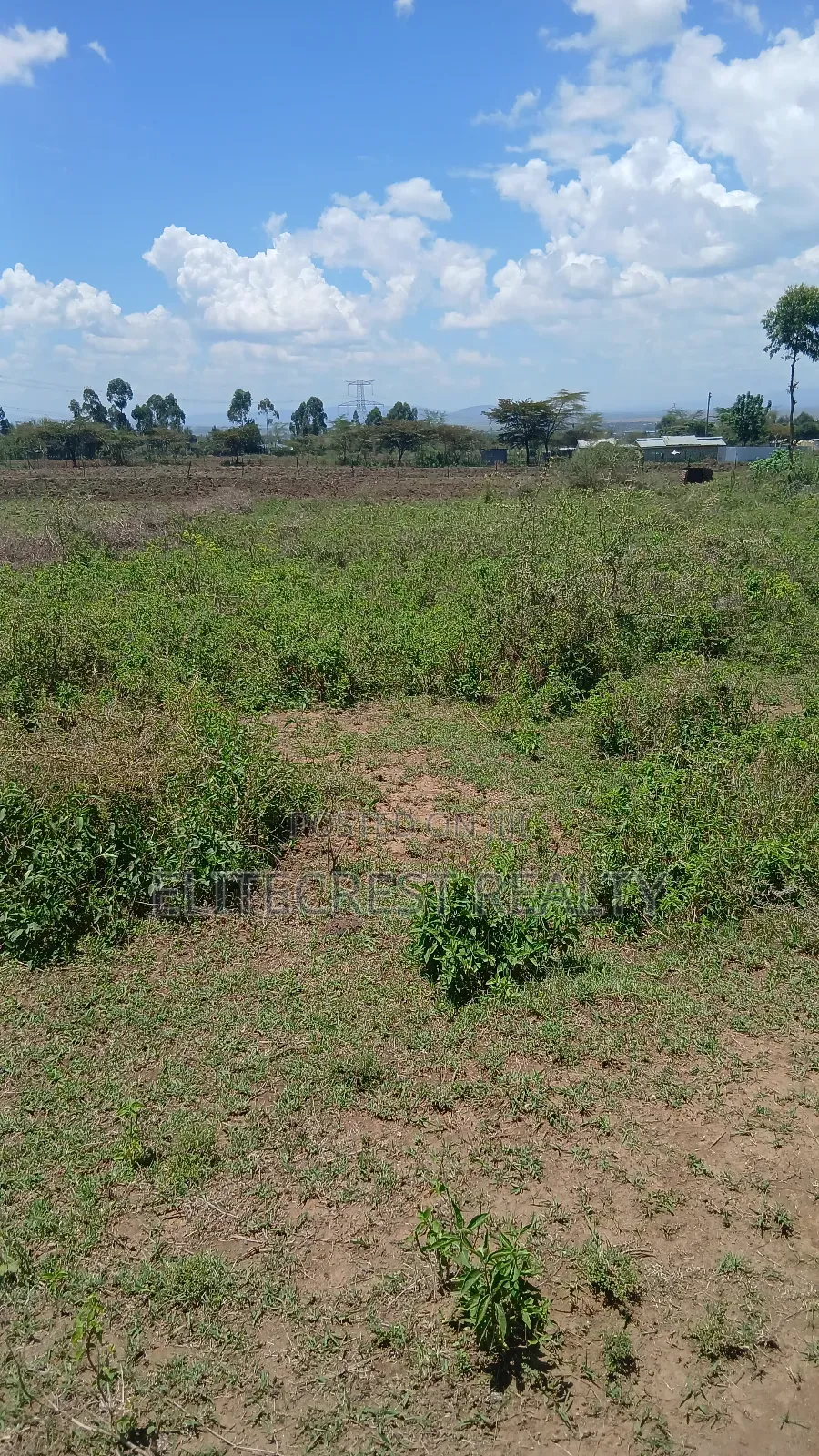 50x100 Plot for Sale in Mutaita Nakuru County