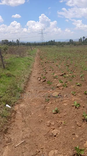 50x100 Plot for Sale in Mutaita Nakuru County