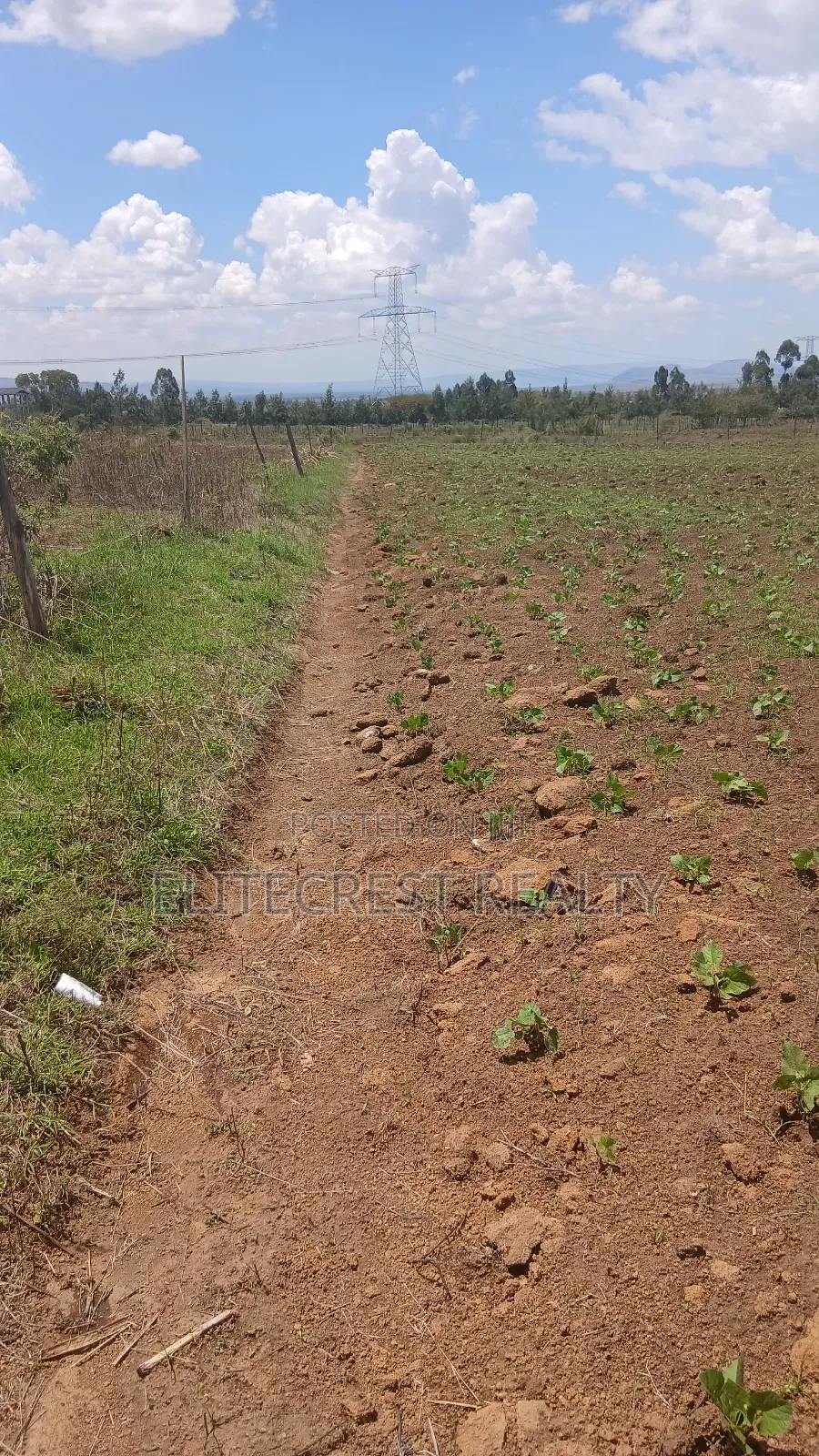 50x100 Plot for Sale in Mutaita Nakuru County