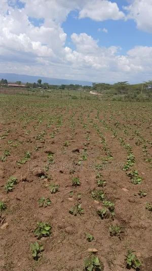 50x100 Plot for Sale in Mutaita Nakuru County