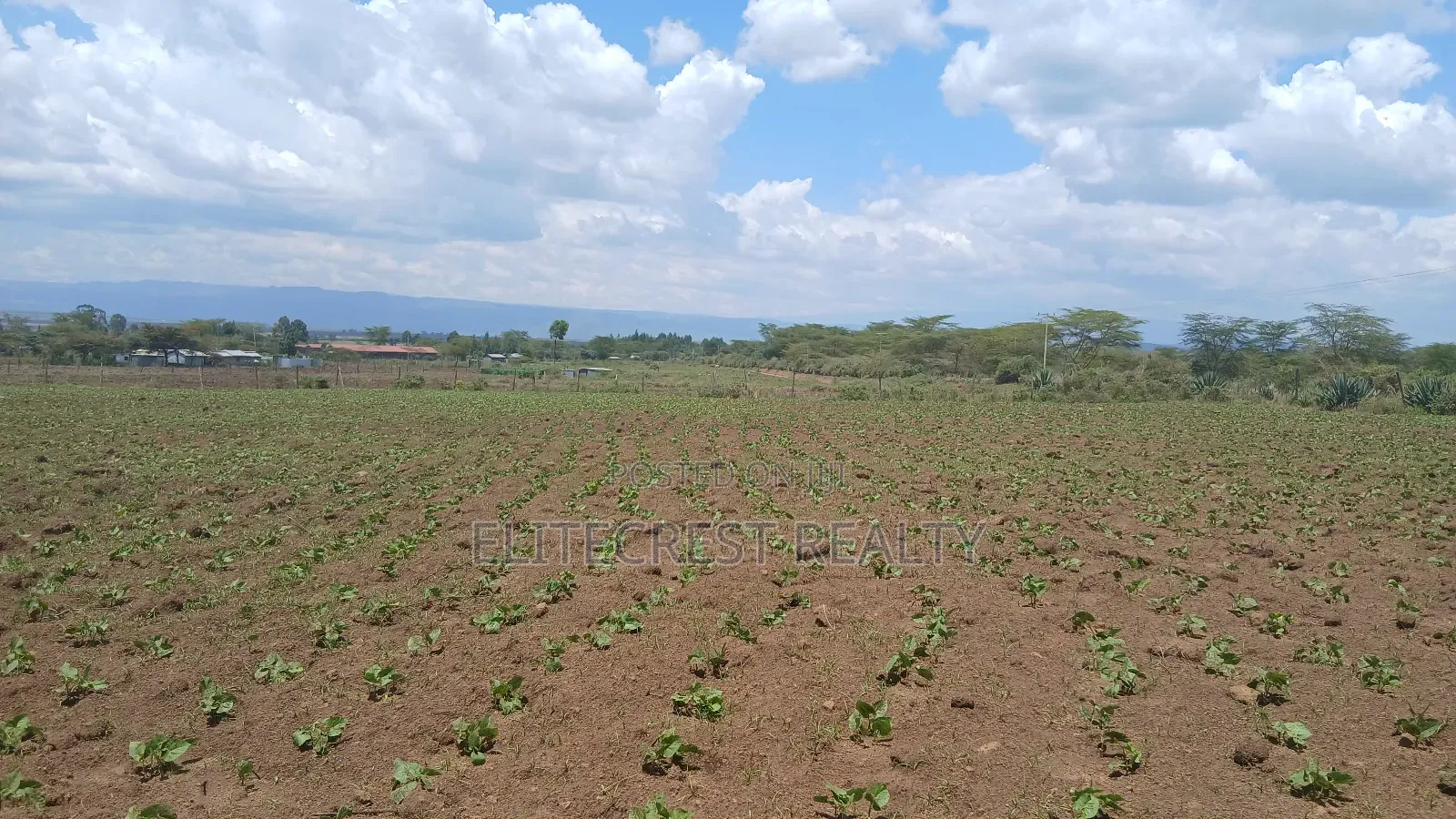 50x100 Plot for Sale in Mutaita Nakuru County