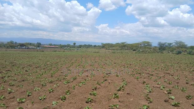 Plot for Sale in Mutaita Nakuru County - thumbnail 7