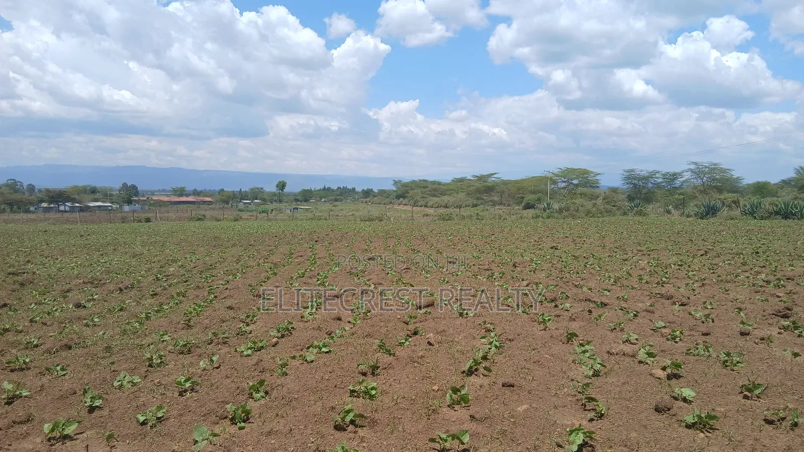 50x100 Plot for Sale in Mutaita Nakuru County