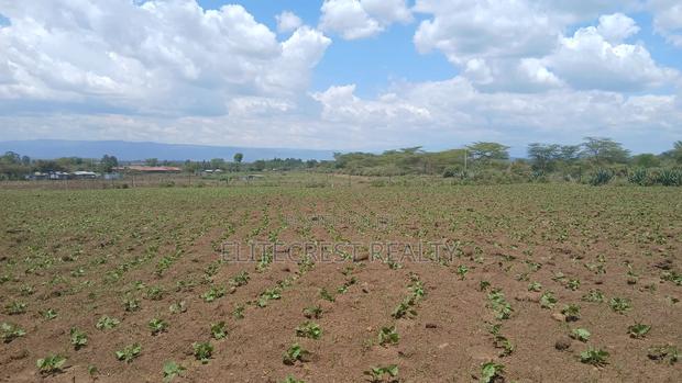 Plot for Sale in Mutaita Nakuru County - thumbnail 8