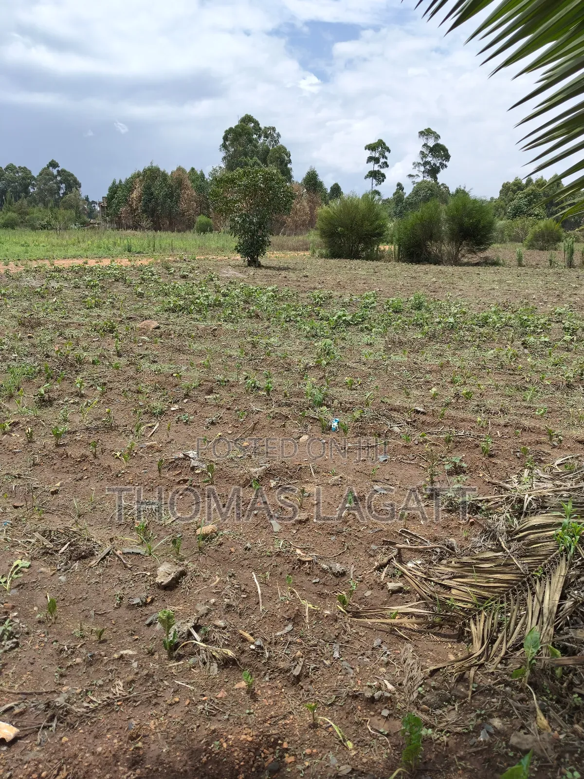 Eldoret Annex Residential Gated Plot