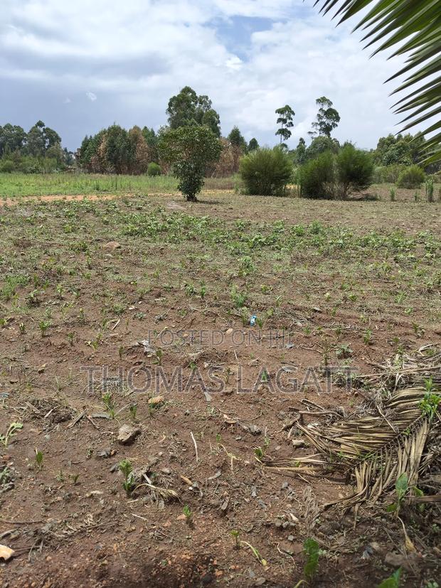 Eldoret Annex Residential Gated Plot - thumbnail 3