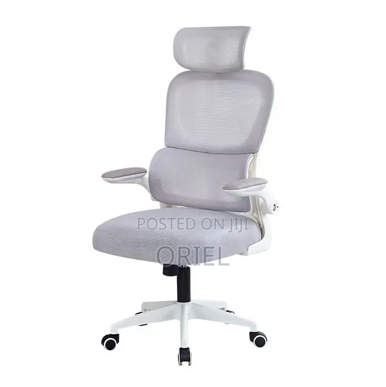 High Back Chair: Ergo Elite Executive Workstation Chair