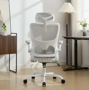 High Back Chair: Ergo Elite Executive Workstation Chair