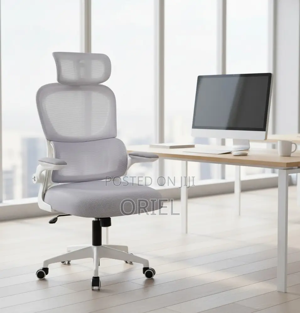 High Back Chair: Ergo Elite Executive Workstation Chair