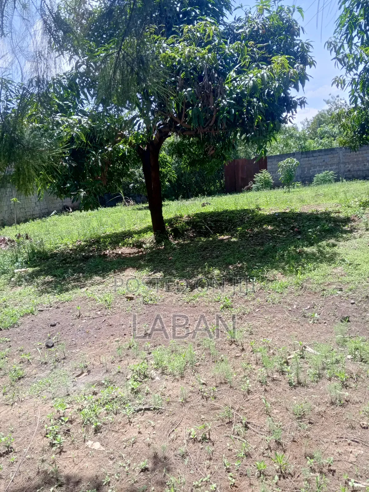 Plots for Sale Kamakis Ruiru