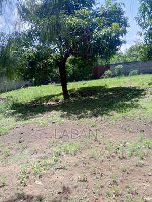 Plots for Sale Kamakis Ruiru