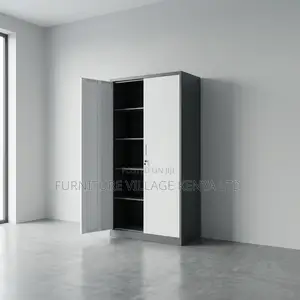 Office Cabinet; 2-door Metallic Office Cabinet