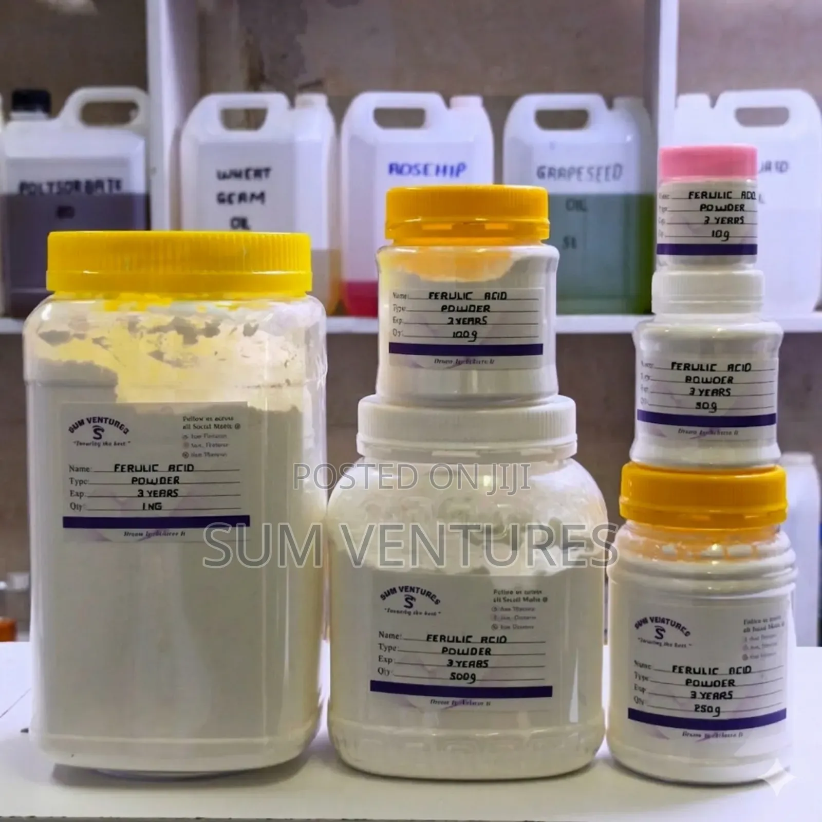 Ferulic Acid Powder