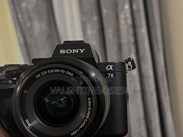 Sony Alpha A7ii - thumbnail 6