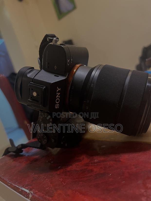 Sony Alpha A7ii - thumbnail 10