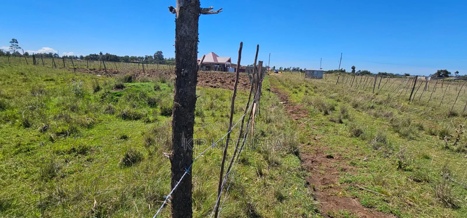 Prime Plots Fir Sale in Marura Eldoret