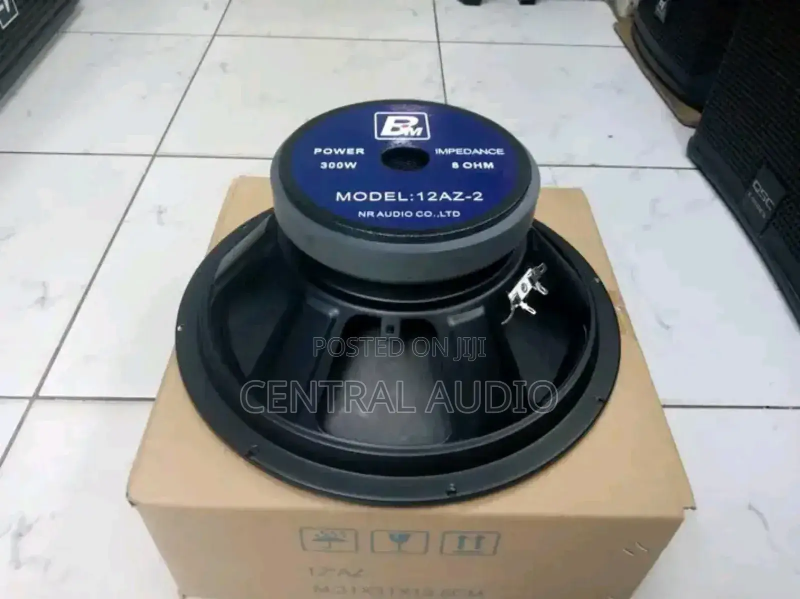 Bm Az-2 12inch Naked Speaker