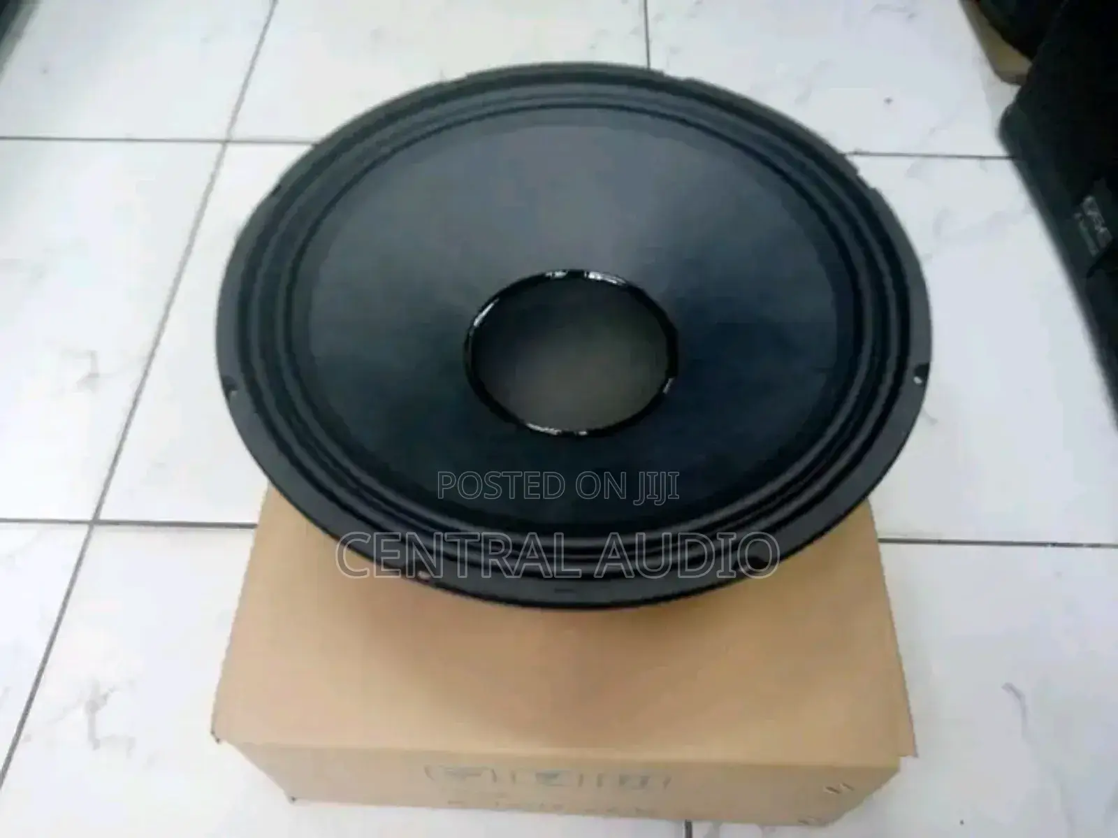 Bm Az-2 12inch Naked Speaker