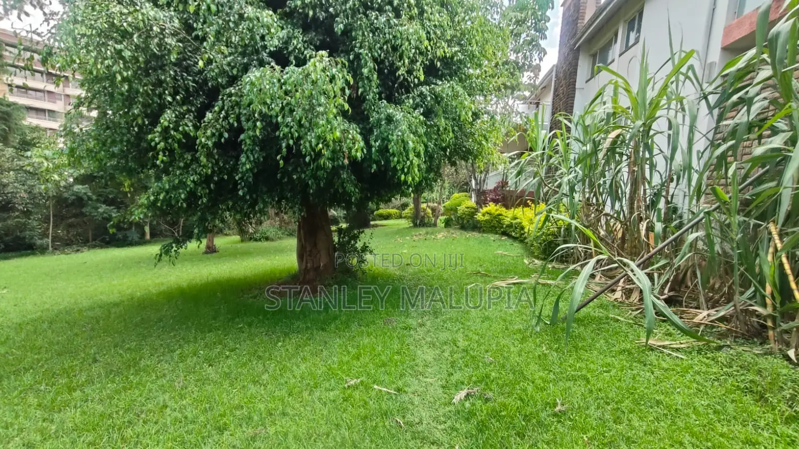 0.8-Acre Corner Plot for Sale – Riverside