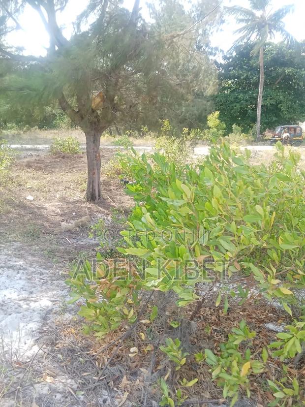 Beach Plot for Sale - thumbnail 5