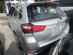 Toyota Corolla Fielder 2019 Gray