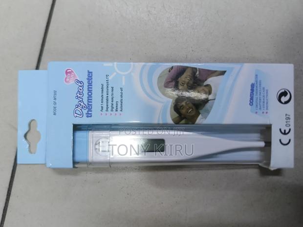 Digital Thermometer - main view