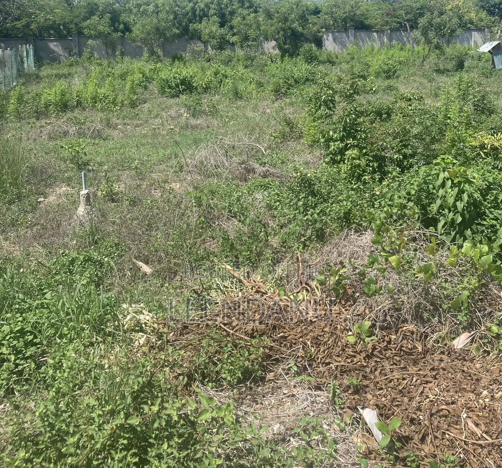 Residential /Commercial Land for Sale