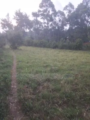 Land for Sale 56 by 120 Shieywe Kakamega. Town
