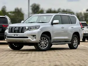 Toyota Land Cruiser Prado 2.8 2019 Silver